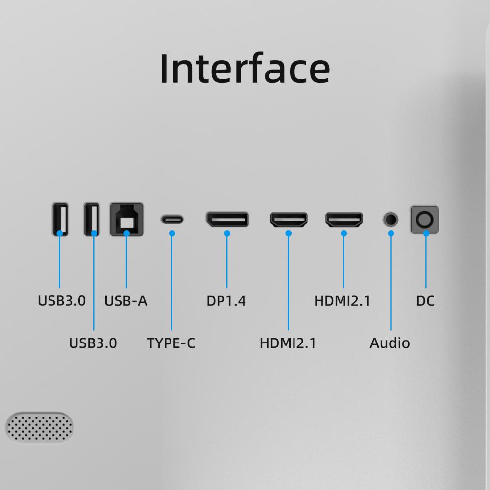 What are the uses of the different interfaces on the monitor?